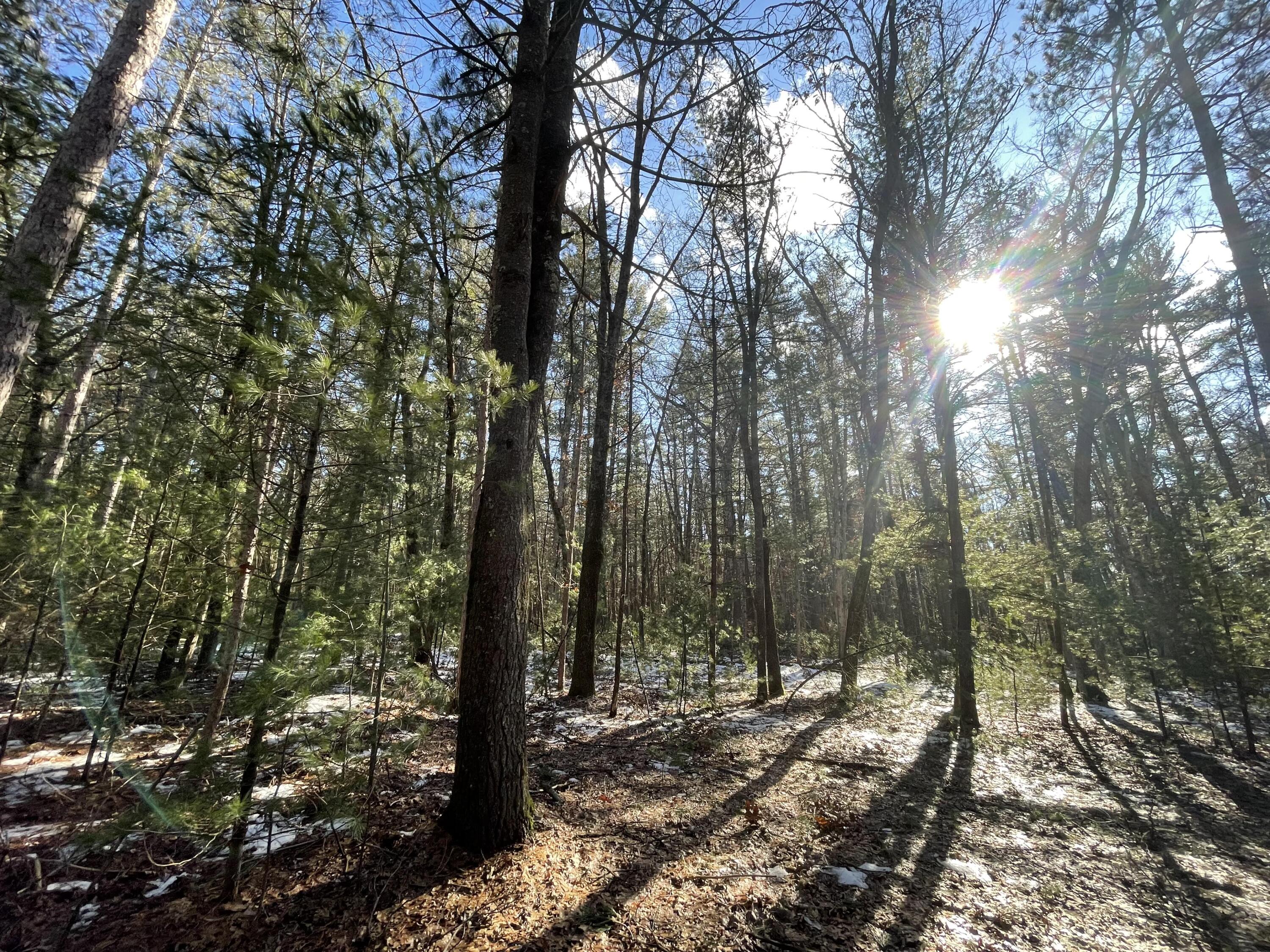 2568 South Pine Avenue White Cloud, MI 49349 - Photo 9 of 19 11