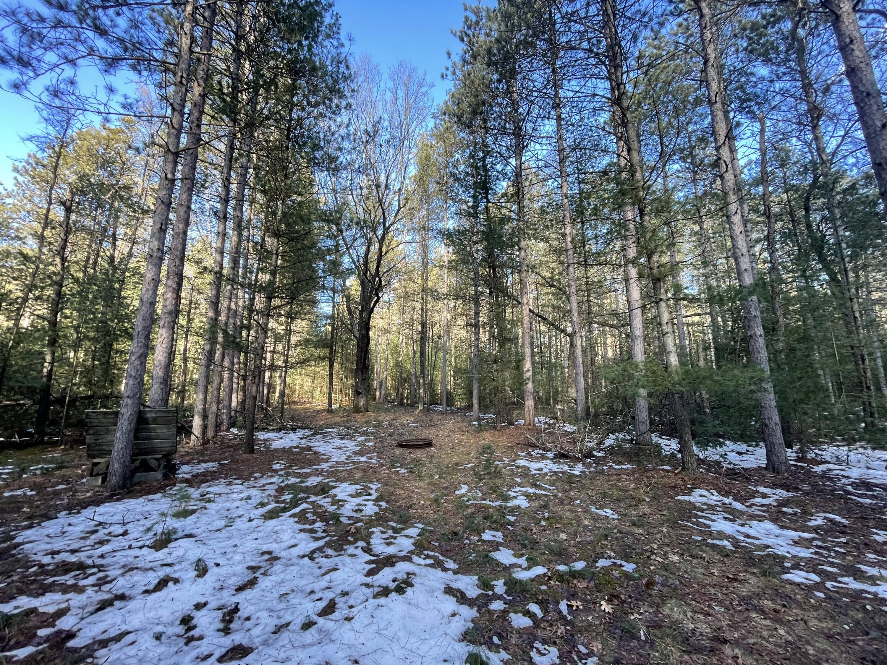 2568 South Pine Avenue White Cloud, MI 49349 - Photo 10 of 19 12