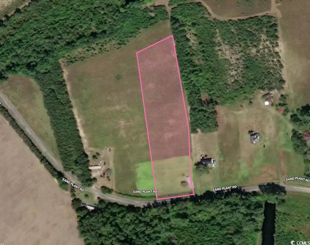 Lot 1 Sand Plant Road Nichols, SC 29581 - Photo 1 of 3 Gallery Image 1