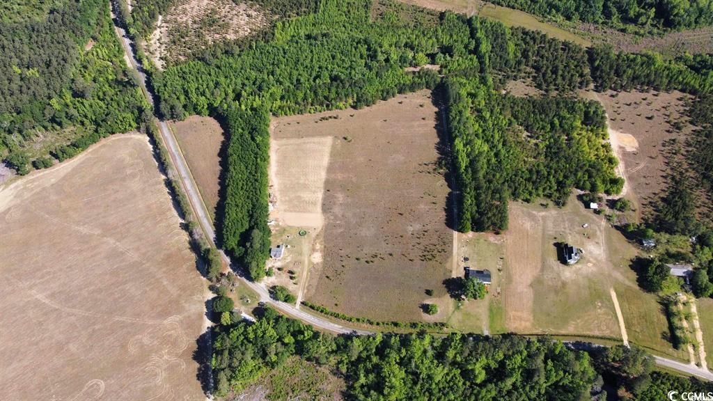 Lot 1 Sand Plant Road Nichols, SC 29581 - Photo 3 of 3 Gallery Image 3