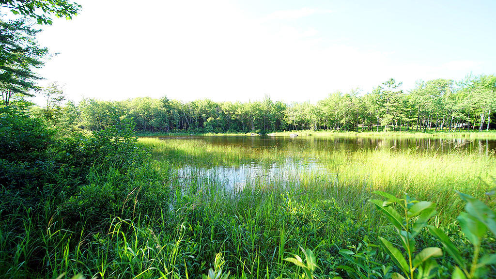 2488 Forest City Road Brookton, ME 04413 - Photo 8 of 73 2488-forest-city-rd-19