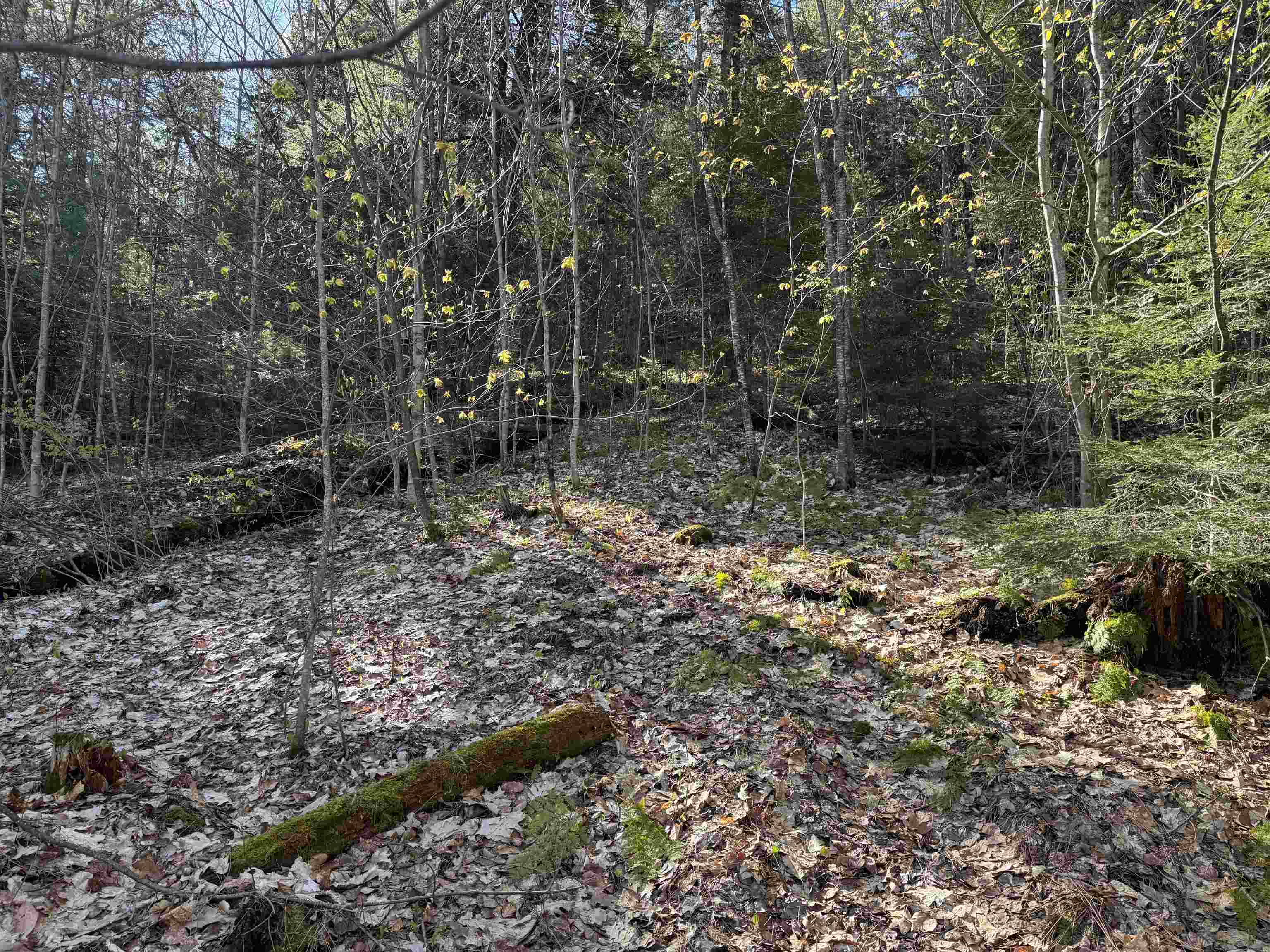 807 Kidder Hood Road Bradford, VT 05033 - Photo 18 of 21