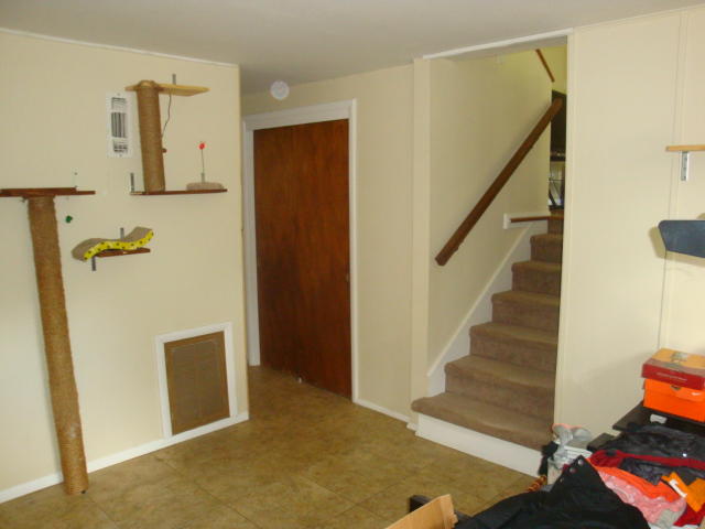 4925 Malta Road Knoxville, TN 37921 - Photo 15 of 21 DSC09411