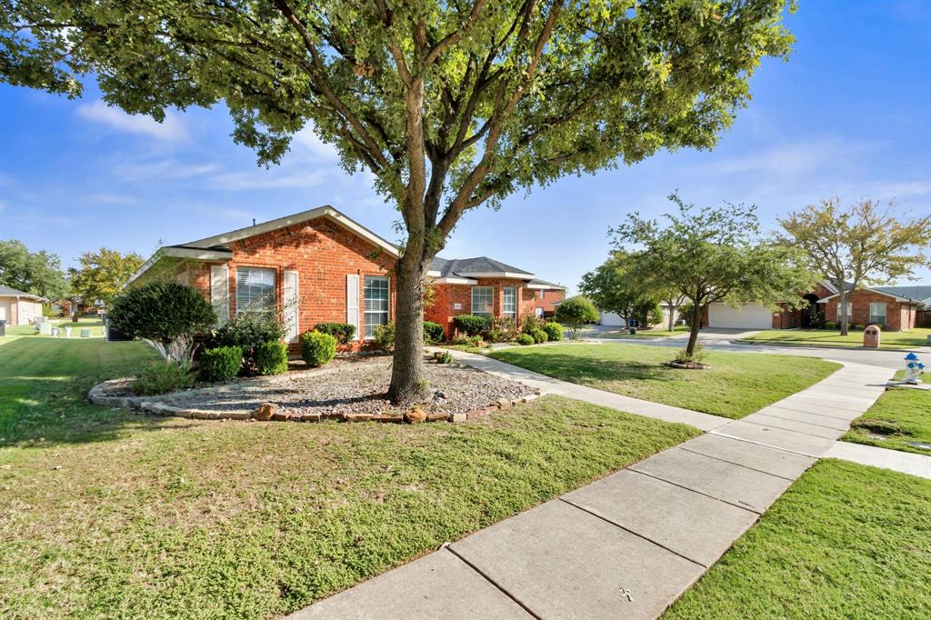 4172 Freedom Lane Frisco, TX 75033 - Photo 3 of 28 a view of a yard with plants and trees