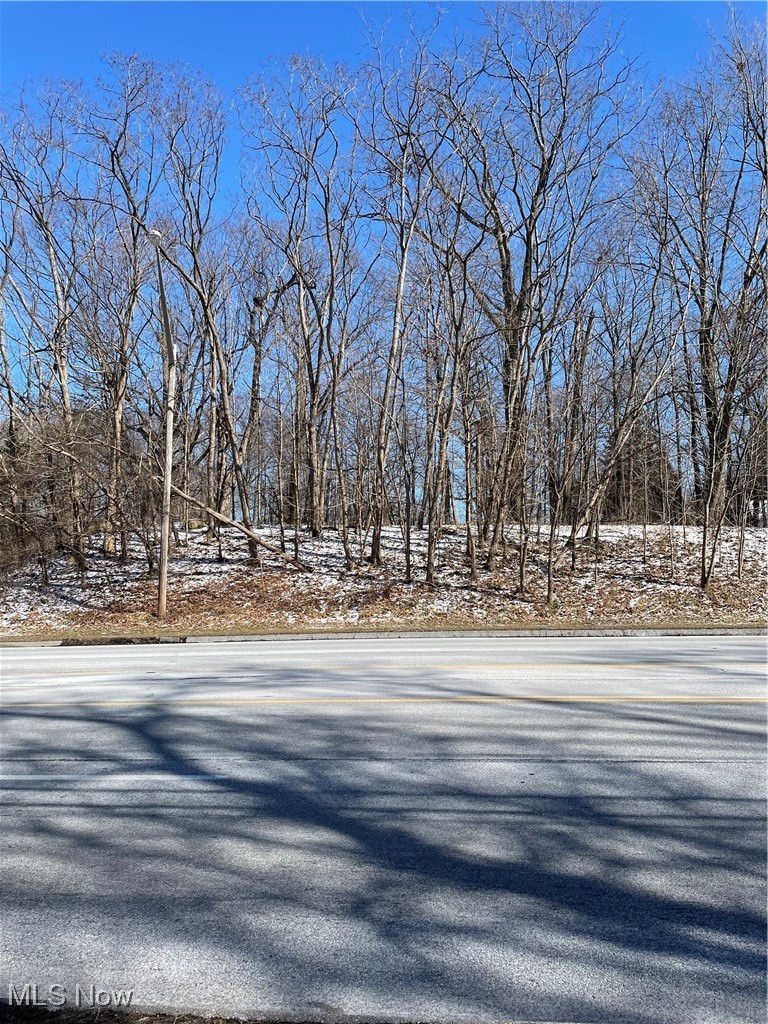 Som Center Road Willoughby, OH 44094 - Photo 2 of 2 View of street