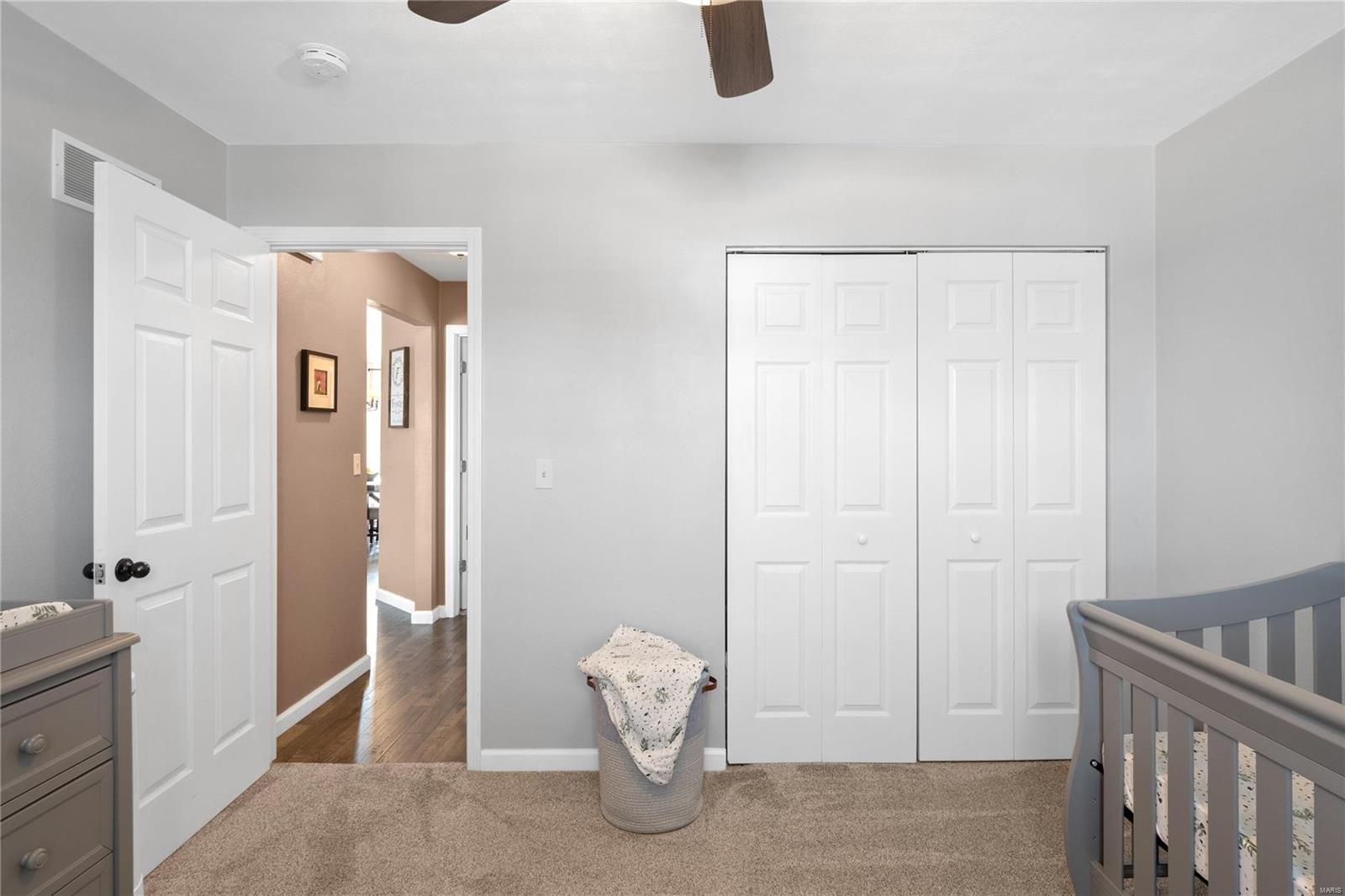 1300 Rachael Lane Waterloo, IL 62298 - Photo 14 of 32