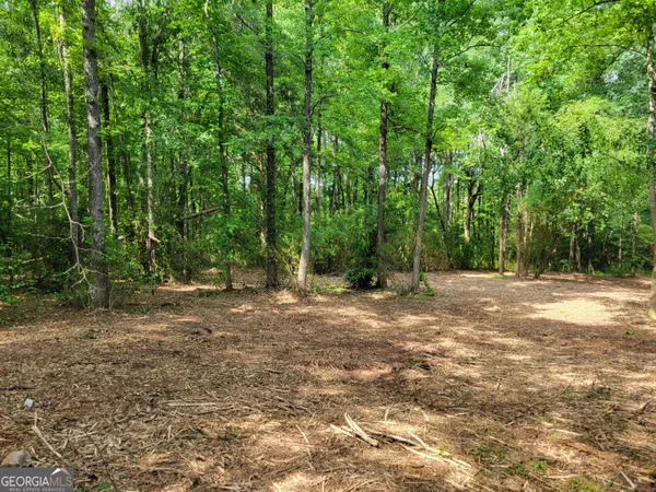 a view of backyard with green space