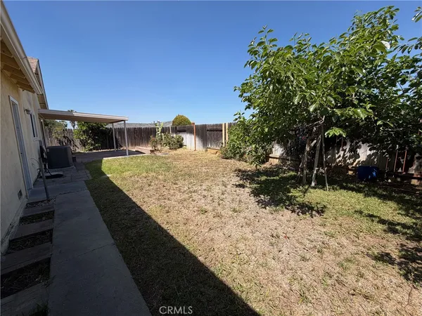 a view of a backyard with plants