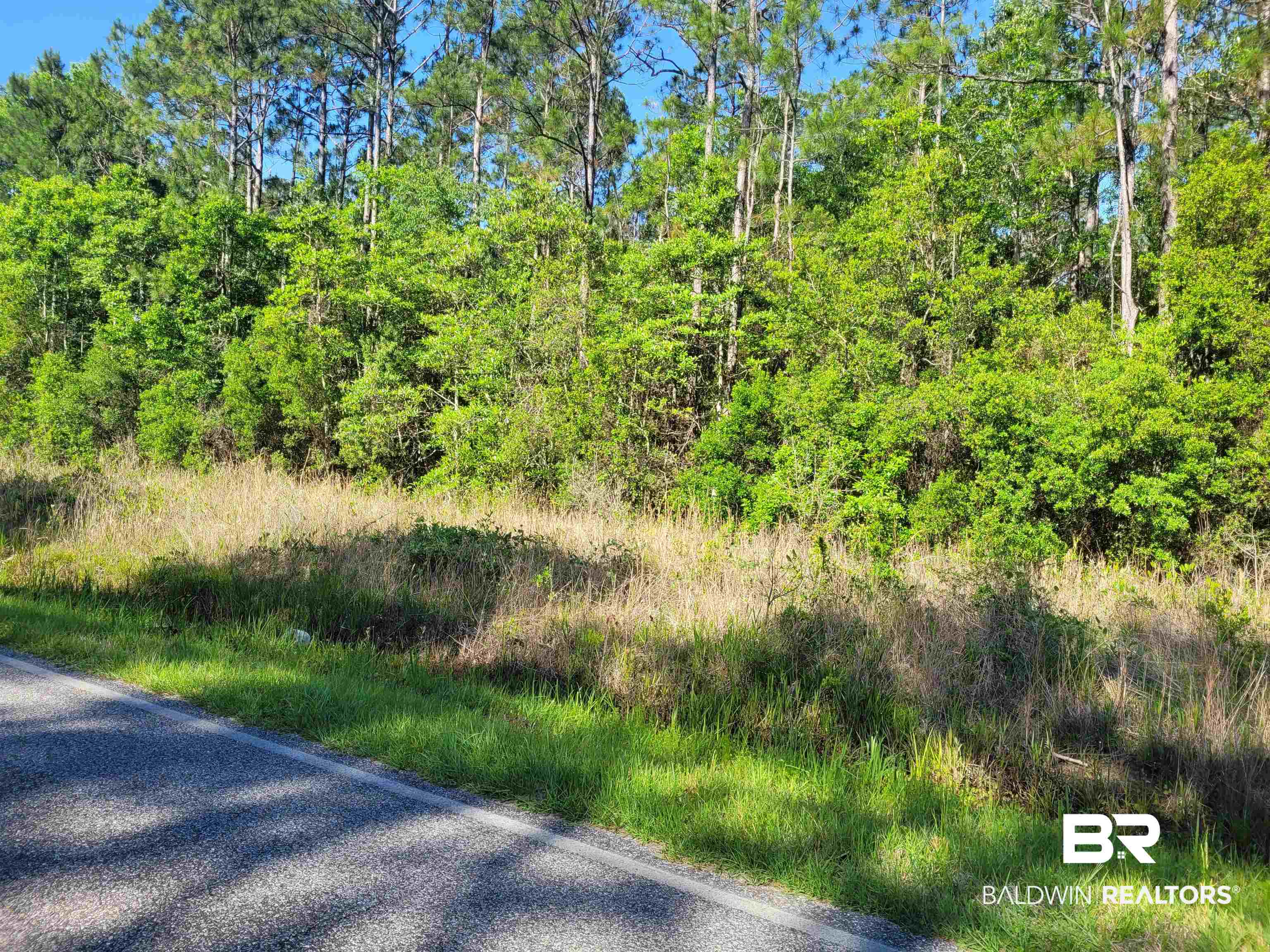0 Bellingrath Road Theodore, AL 36582 - Photo 6 of 6