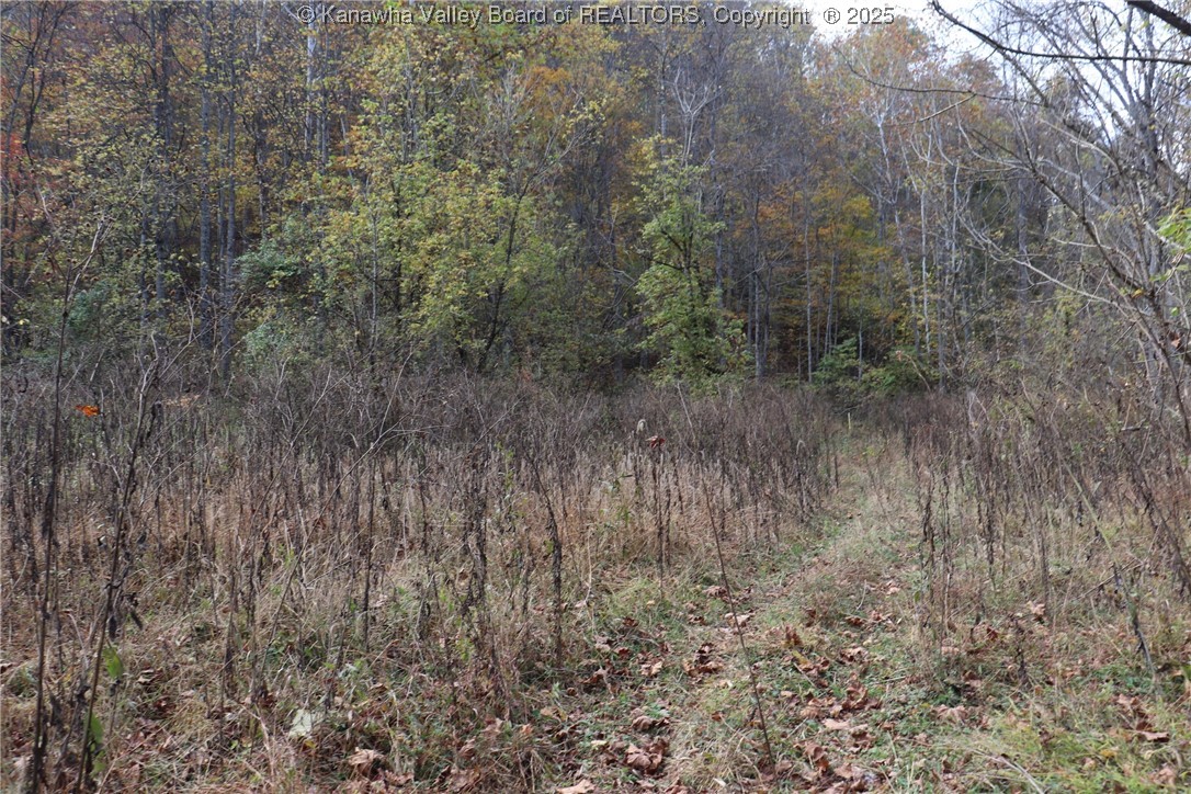 6 Sigman Frk Road Liberty, WV 25124 - Photo 40 of 47 Gallery Image 40