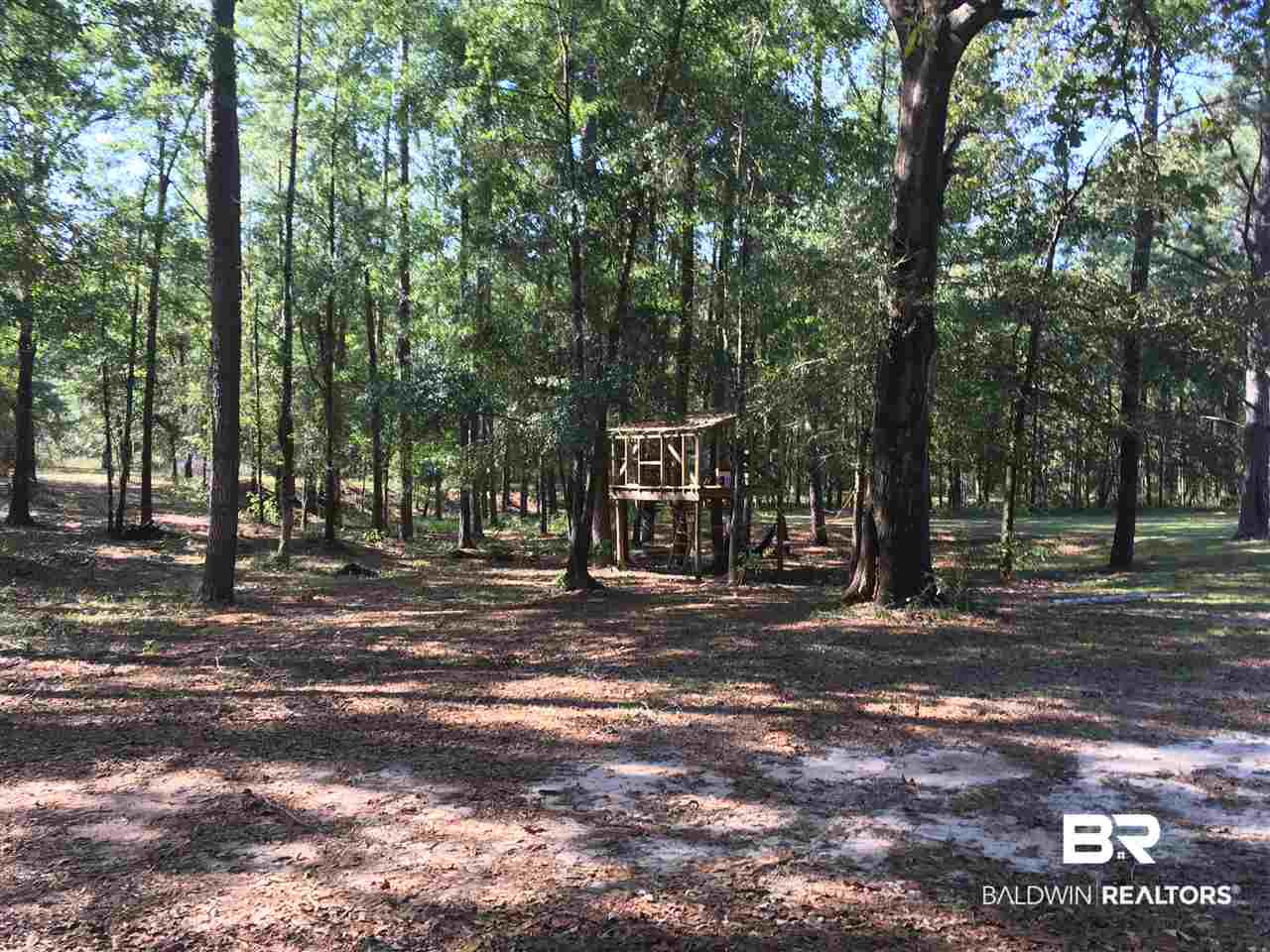 952 Poindexter Road Andalusia, AL 36420 - Photo 14 of 14