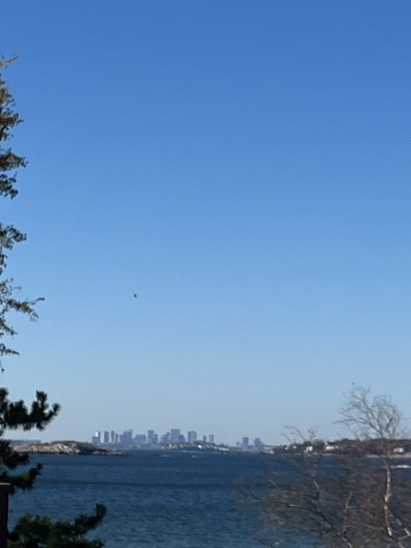 34 Flint Street Marblehead, MA 01945 - Photo 42 of 42