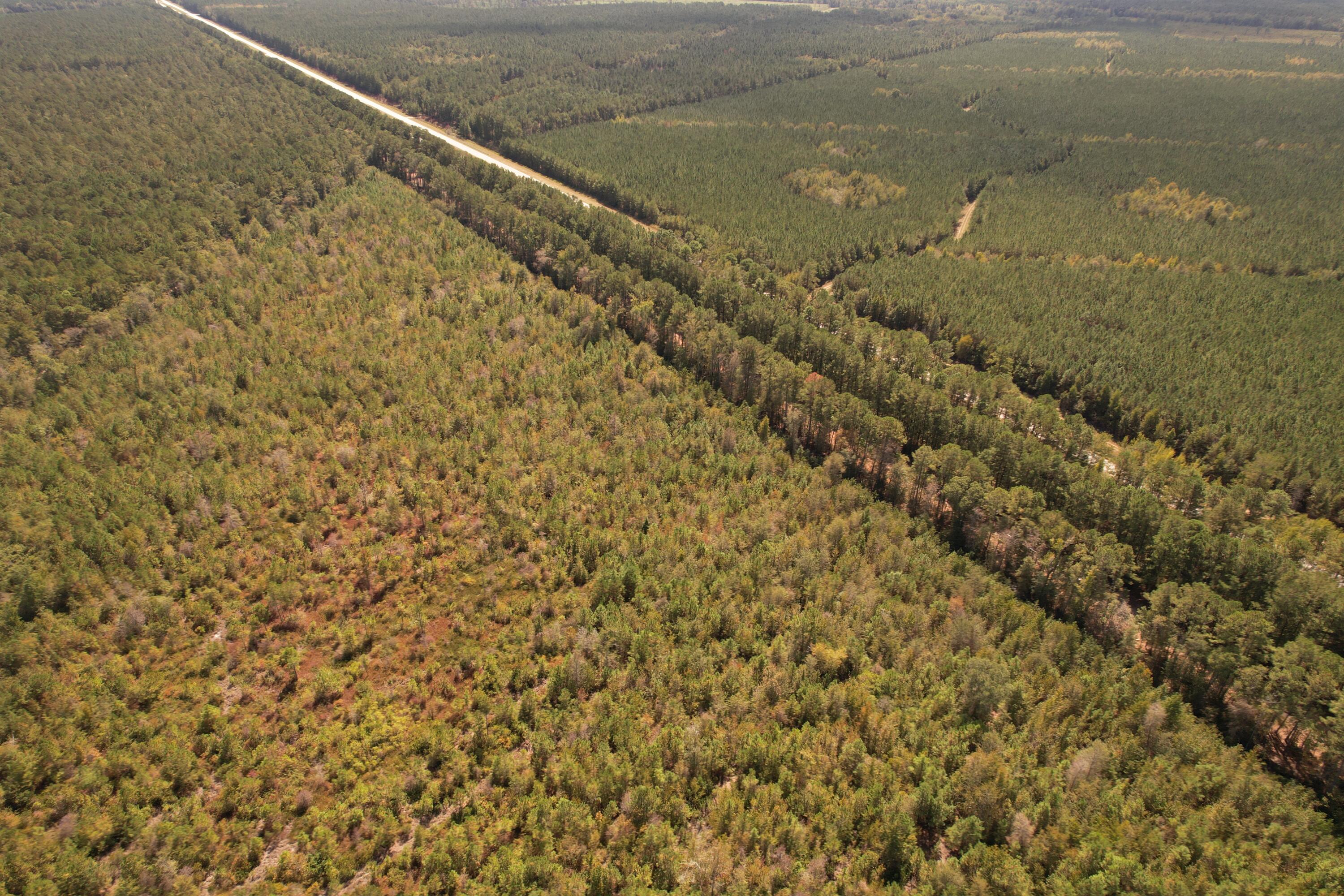 Tbd Old CC Camp Road Greeleyville, SC 29056 - Photo 9 of 12