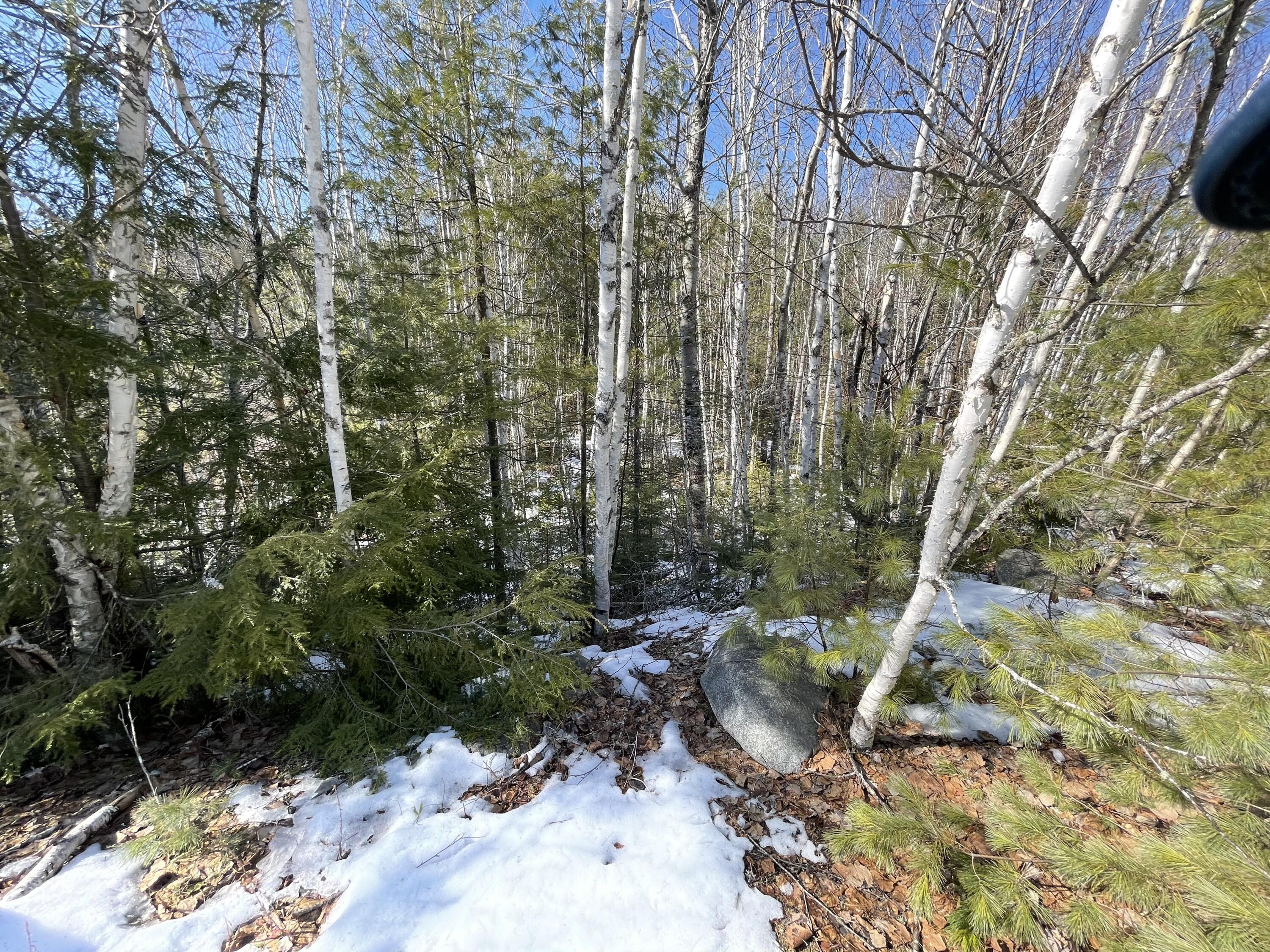 63-64 Kettle Ridge Northfield, ME 04654 - Photo 8 of 19 IMG-0814