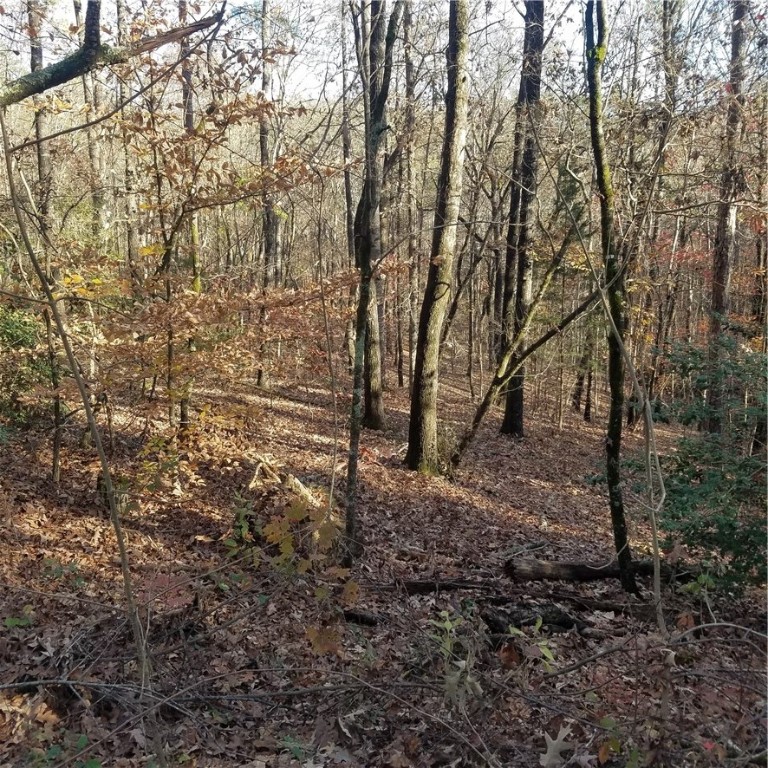 Lot #7 Keowee Harbours Access Road Salem, SC 29676 - Photo 18 of 20 Gallery Image 18