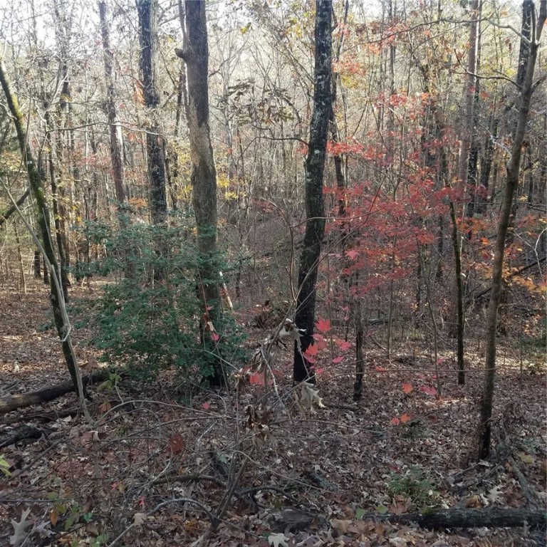 Lot #7 Keowee Harbours Access Road Salem, SC 29676 - Photo 19 of 20 Gallery Image 19