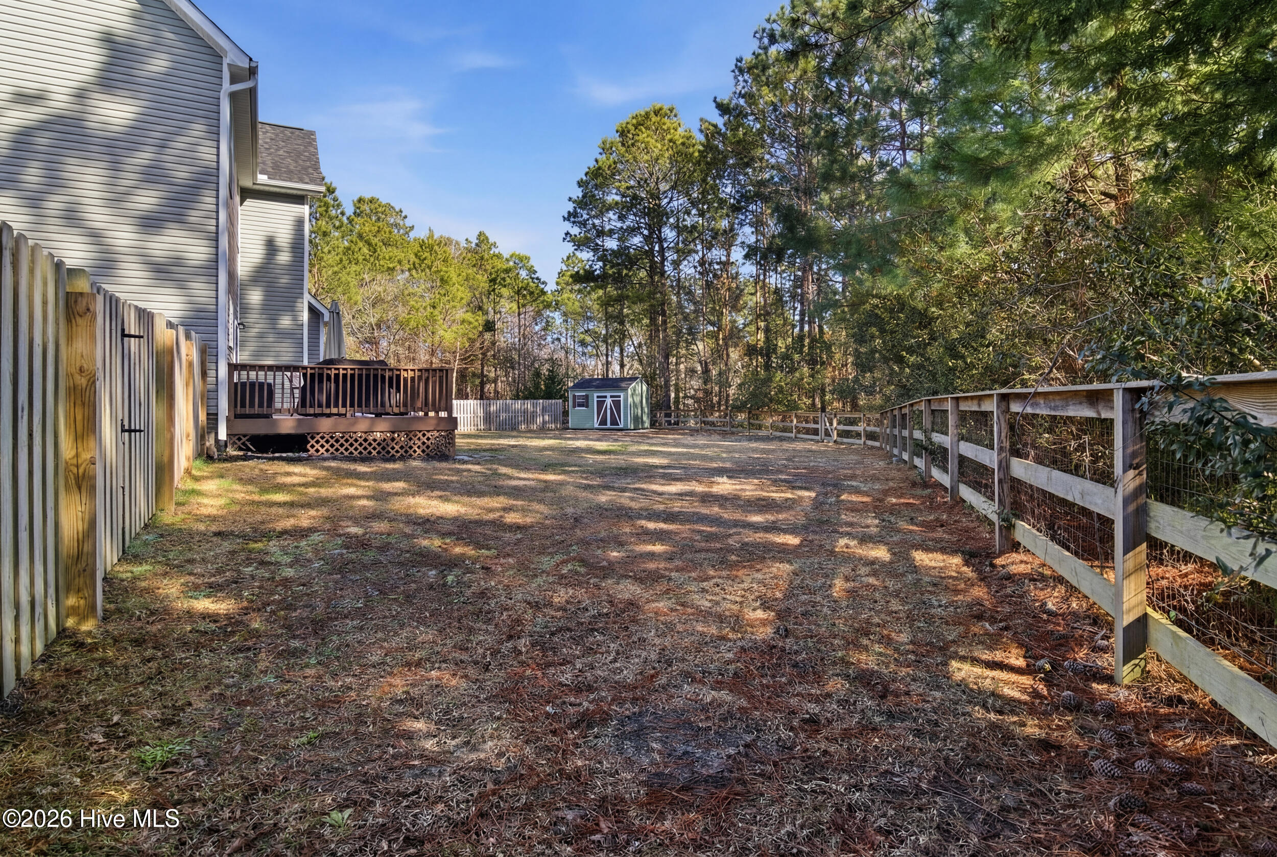 111 Lumis Court Hampstead, NC 28443 - Photo 61 of 68 21_backyard left corner
