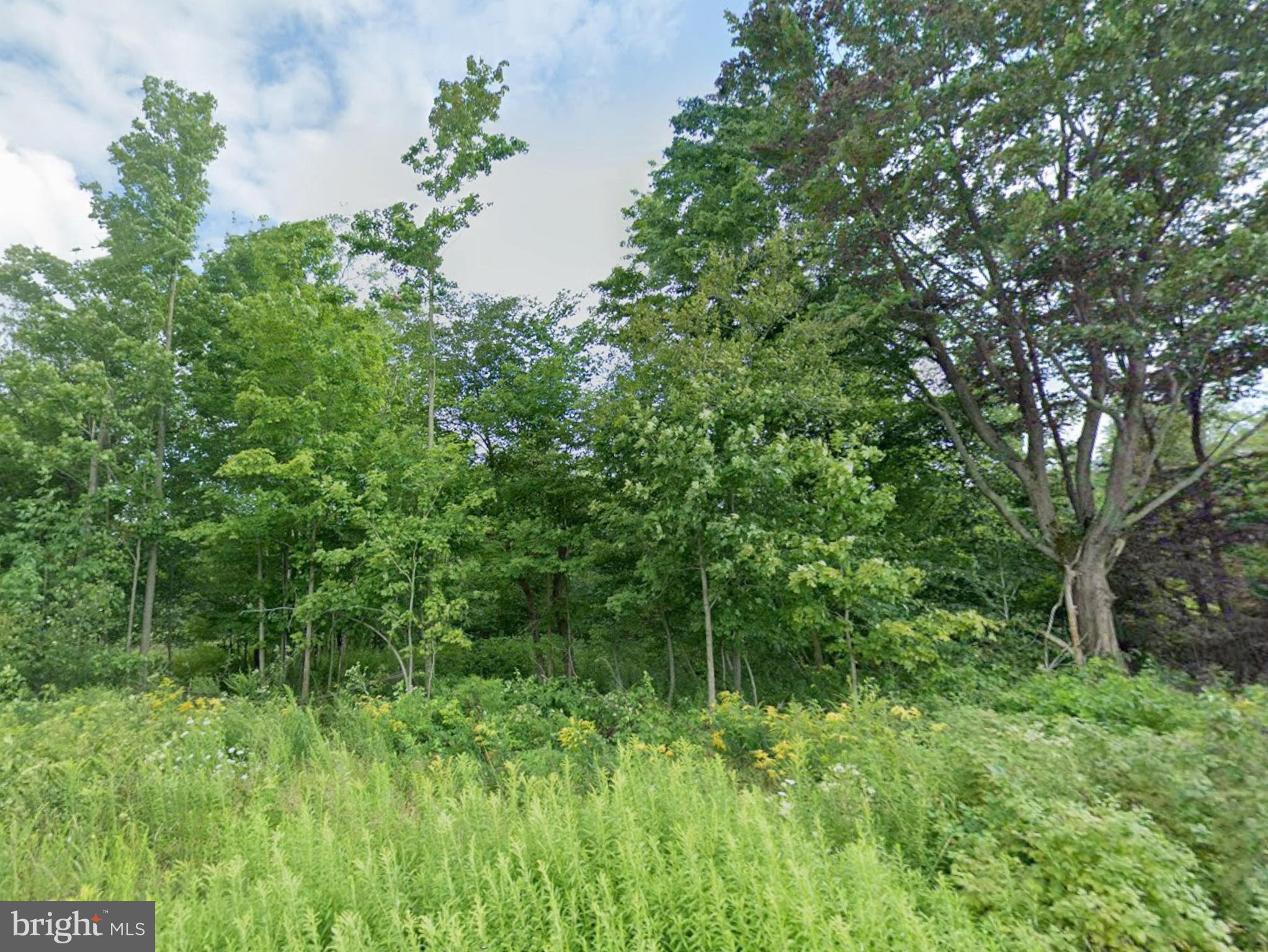 Williams Road Cochranton, PA 16314 - Photo 5 of 12