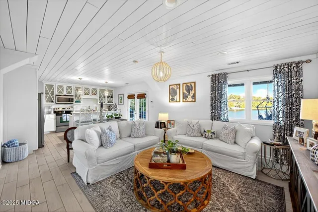 a view of a plant in a garden