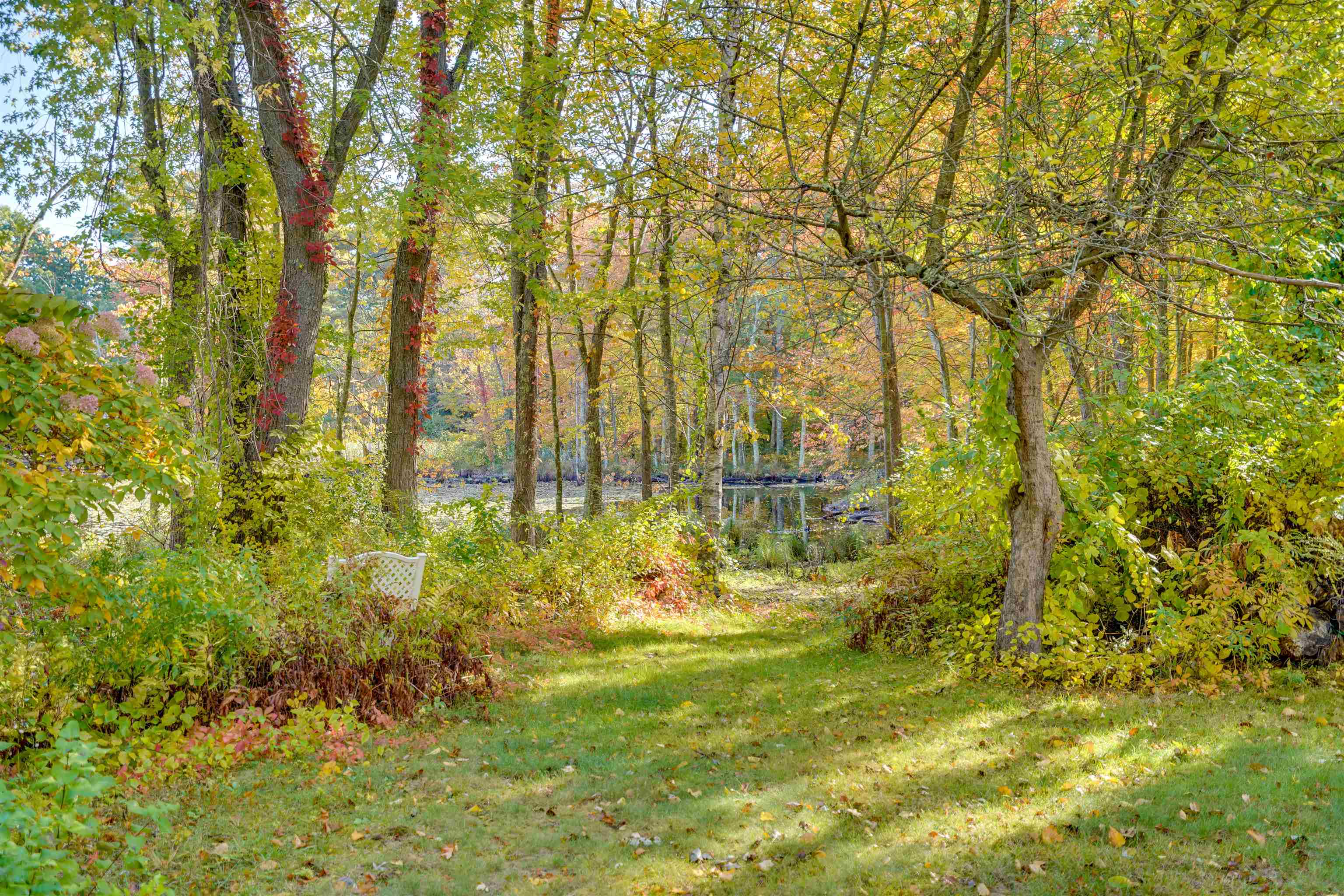 110 Bush Hill Road Pelham, NH 03076 - Photo 10 of 40 Gallery Image 10