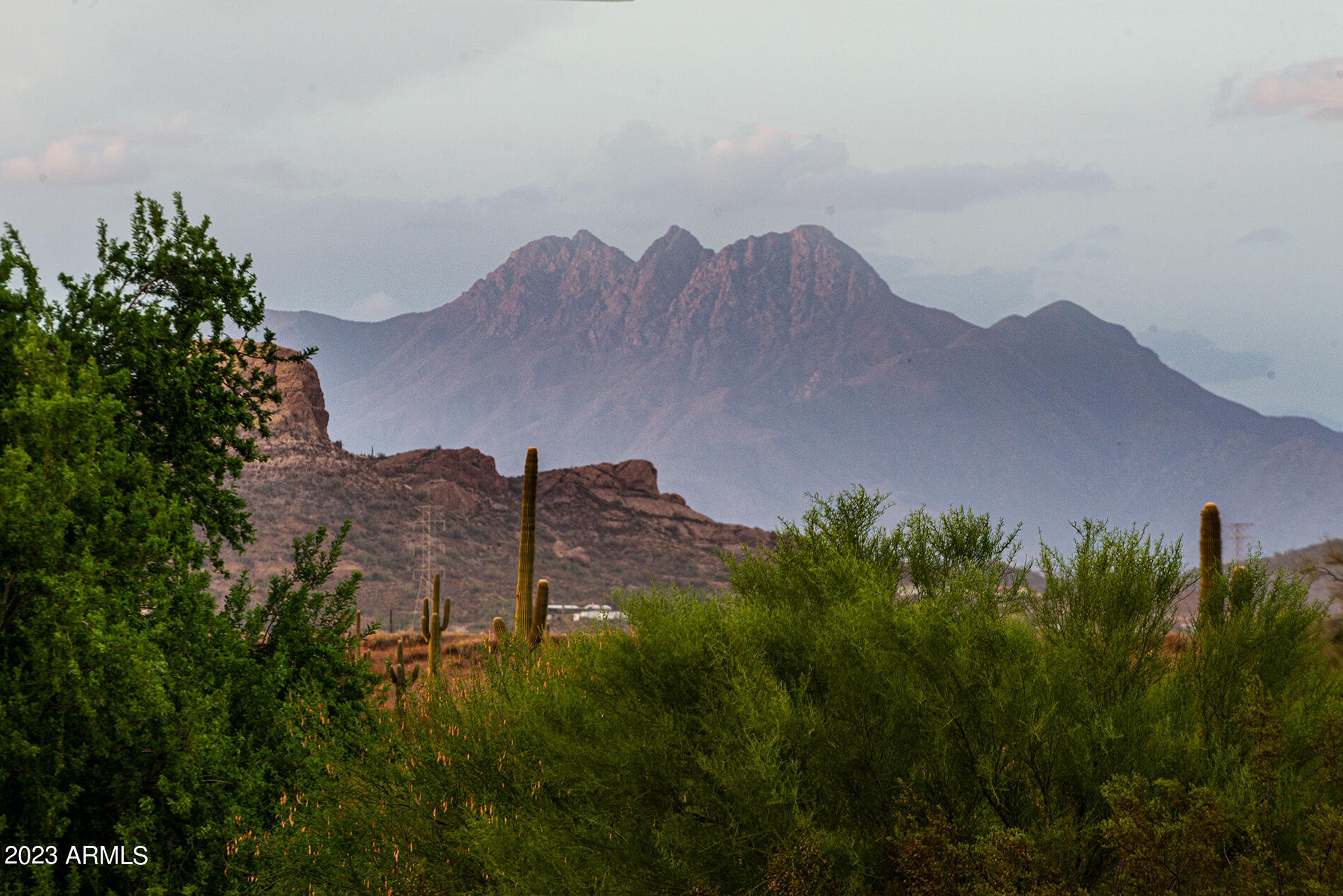 1440 North Idaho Road, Unit 2081 Apache Junction, AZ 85119 - Photo 30 of 55 DSC_0023