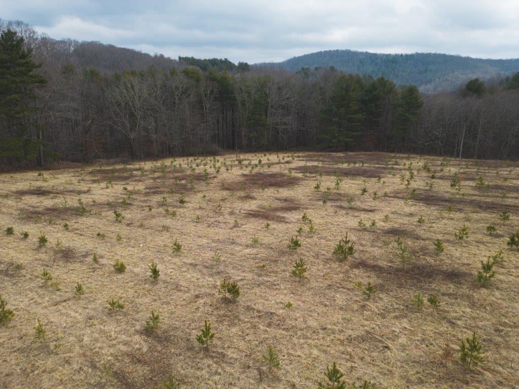 Tbd Long Mountain Road Southwest Willis, VA 24380 - Photo 6 of 66 Gallery Image 6