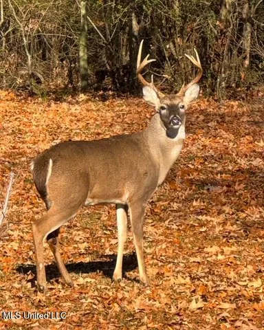 $259,900 | 520 Hunters Creek Circle, Madison, MS 39110