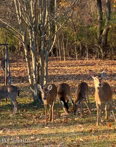 $259,900 | 520 Hunters Creek Circle, Madison, MS 39110