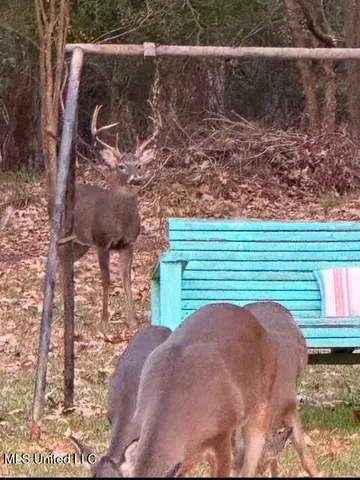 $259,900 | 520 Hunters Creek Circle, Madison, MS 39110