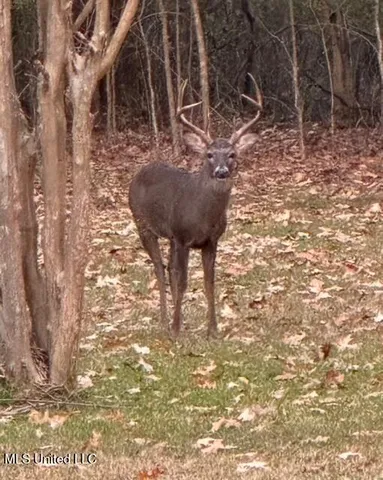 $259,900 | 520 Hunters Creek Circle, Madison, MS 39110