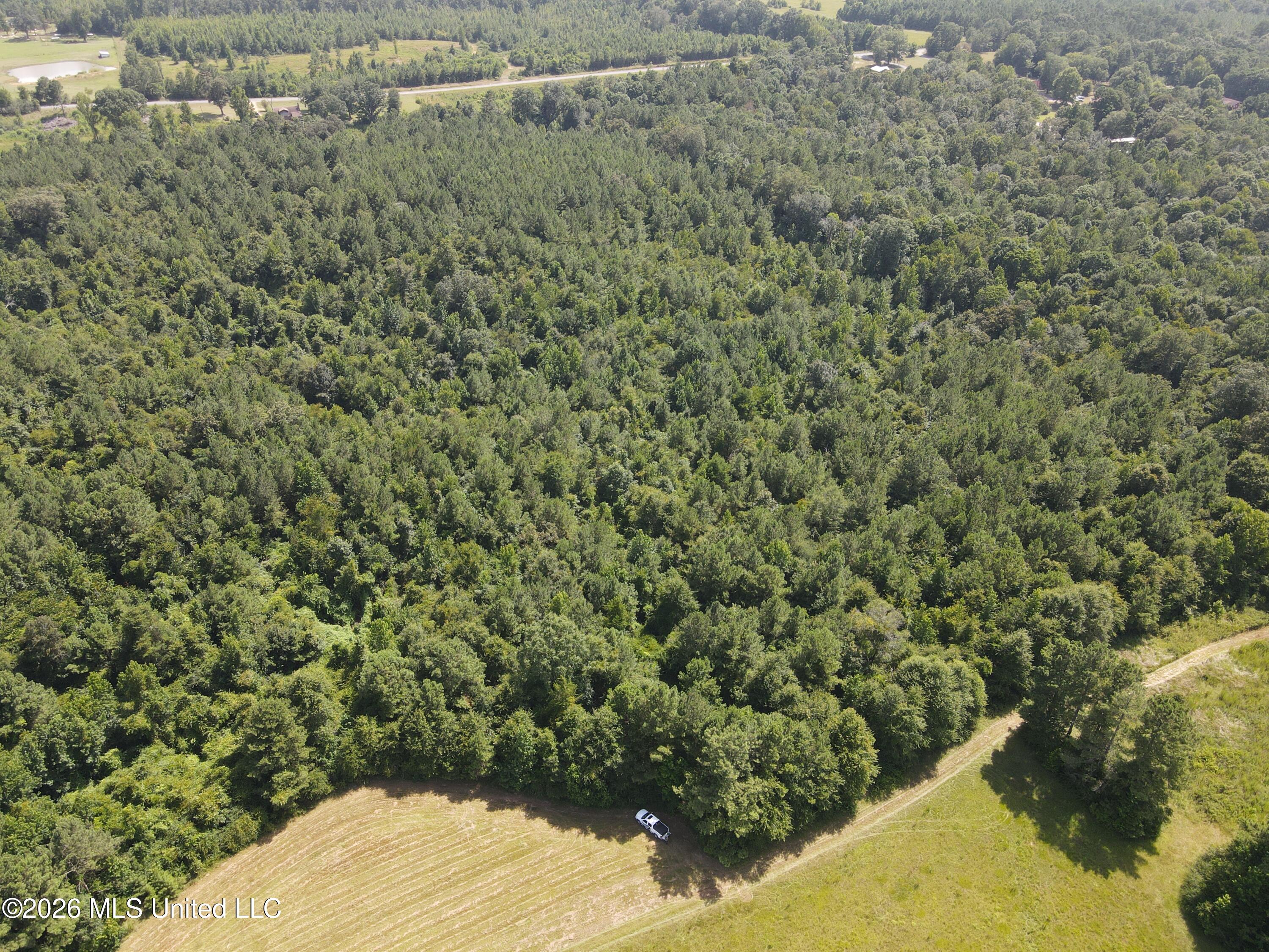 Mt Carmel Road Prentiss, MS 39474 - Photo 7 of 53 37915