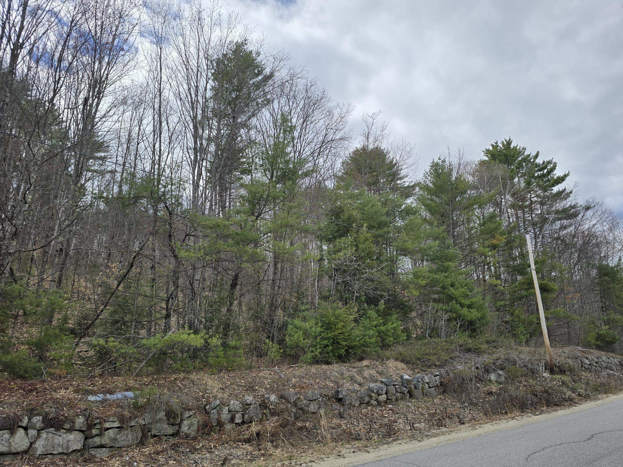 0 Haley Town Road Brownfield, ME 04010 - Photo 5 of 7
