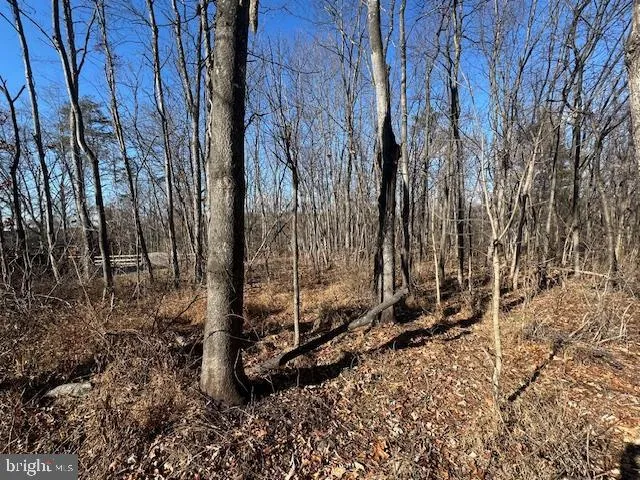 $43,500 | 105 Quail Court, Cross Junction, VA 22625