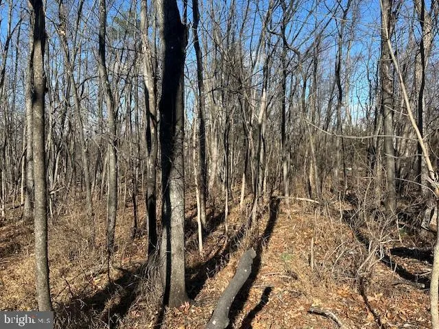 $43,500 | 105 Quail Court, Cross Junction, VA 22625