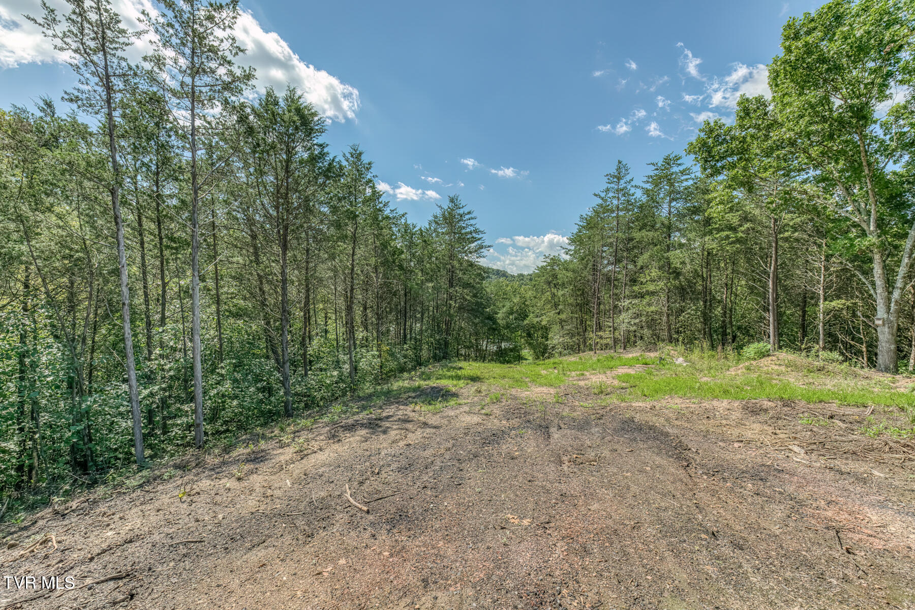 0 Old Cemetery Road Greeneville, TN 37745 - Photo 24 of 37 280 Old Cemetery Rd-24
