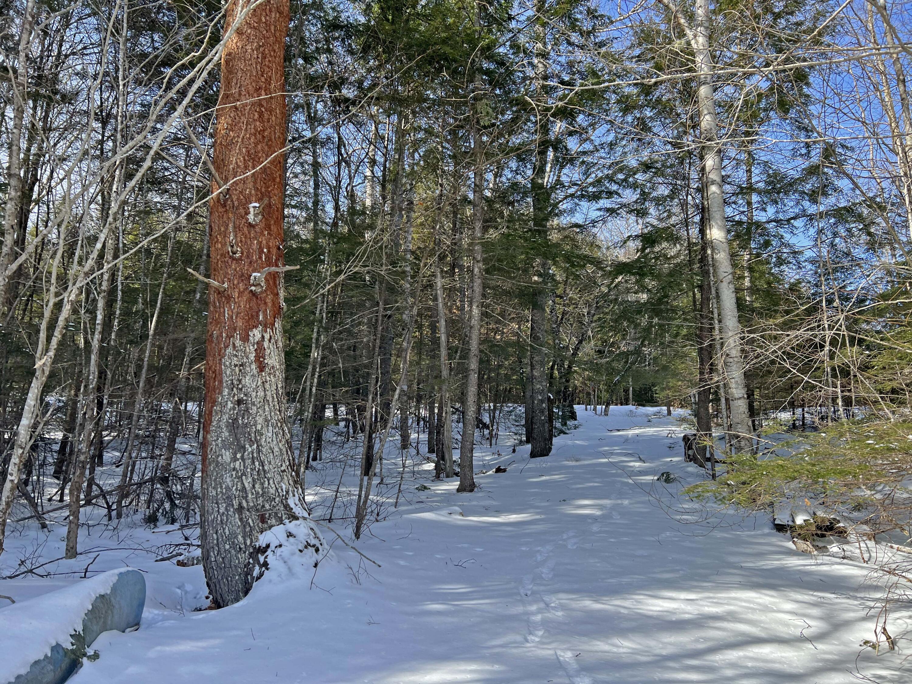 0 Whitmore Road Ellsworth, ME 04605 - Photo 12 of 22 2h
