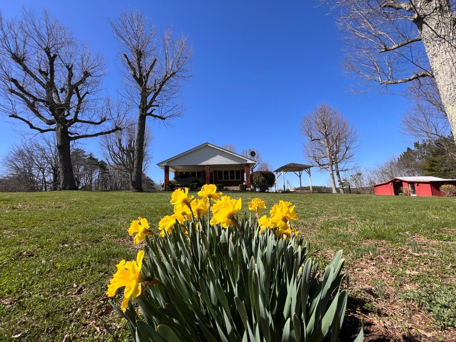 1930 Homeplace Road Rustburg, VA 24588 - Photo 2 of 88 It's Spring on Homeplace Rd.
