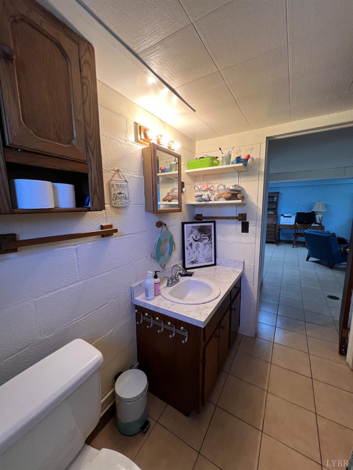 1930 Homeplace Road Rustburg, VA 24588 - Photo 54 of 88 a spacious bathroom with a toilet a sink and a mirror