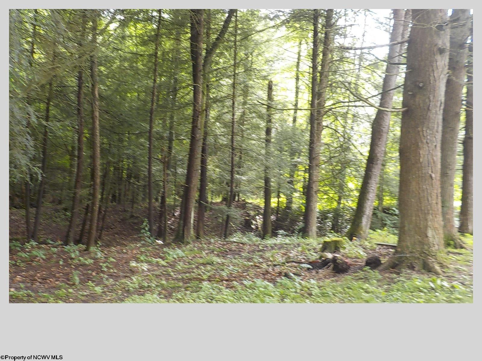 78 Evans Road Eglon, WV 26716 - Photo 15 of 18 Gallery Image 15