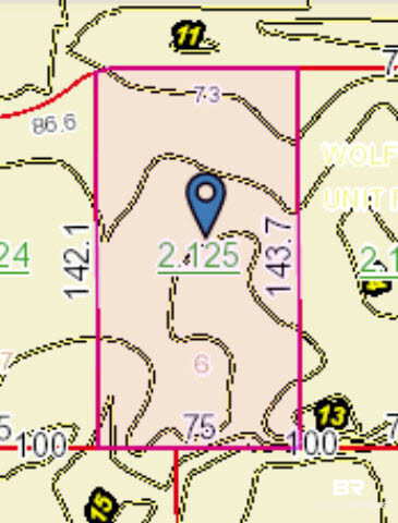 24936 Ivy Lane Orange Beach, AL 36561 - Photo 4 of 4 Contour Map