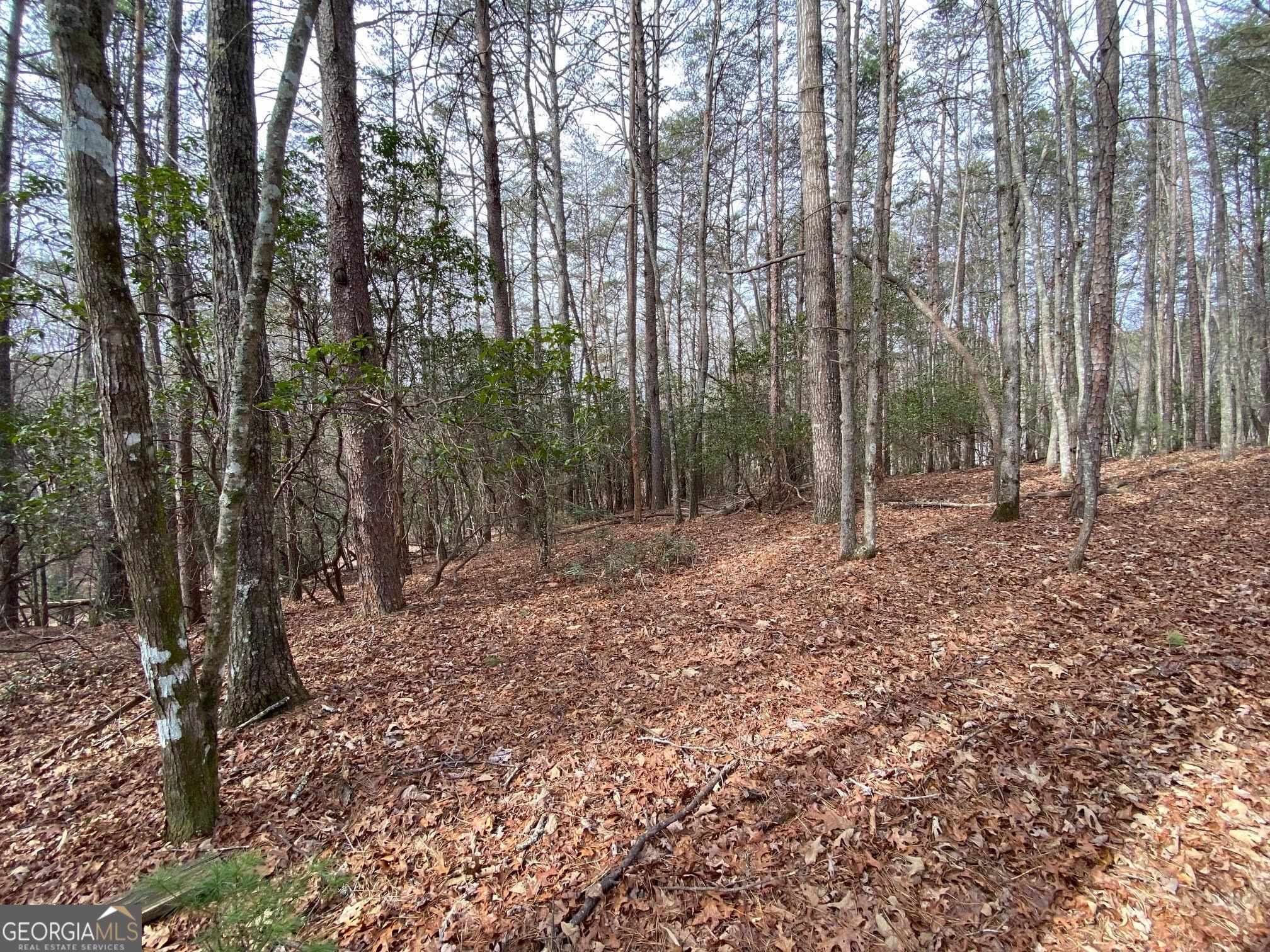 0 Sky Lake Road Sautee Nacoochee, GA 30571 - Photo 11 of 26