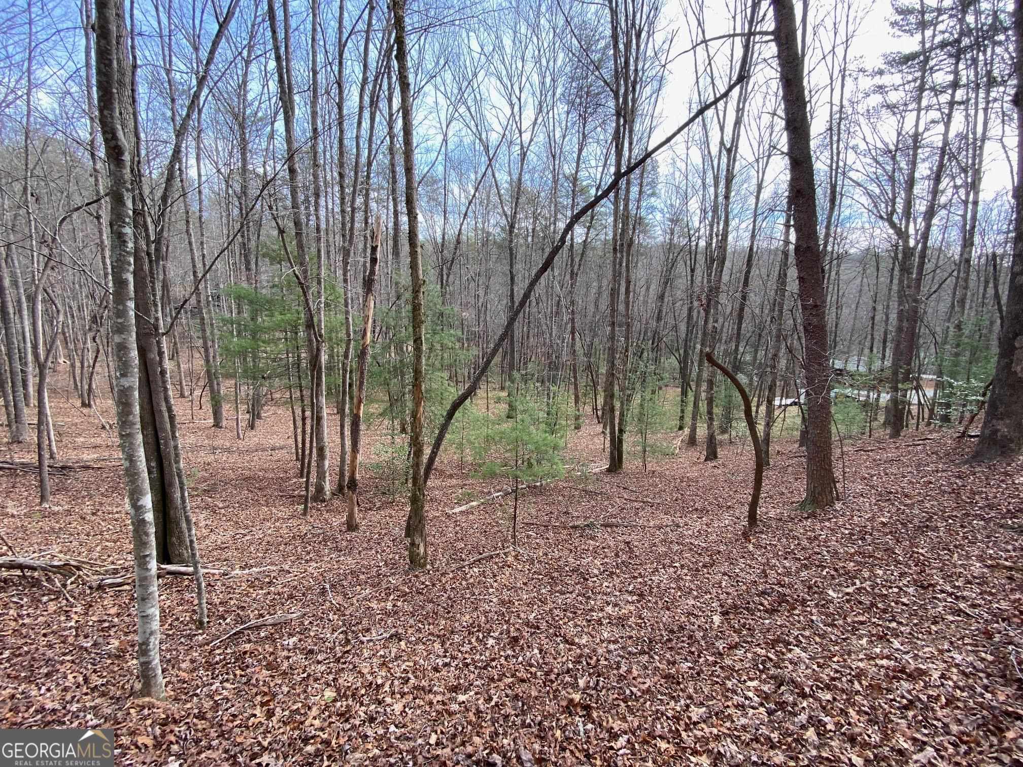 0 Sky Lake Road Sautee Nacoochee, GA 30571 - Photo 12 of 26