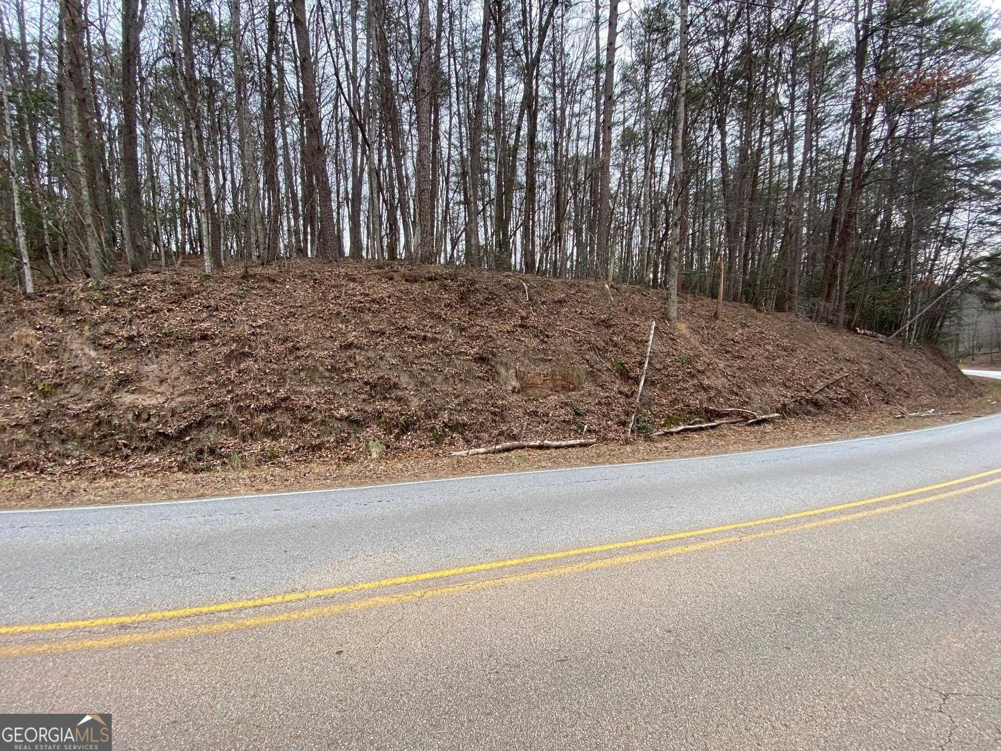 0 Sky Lake Road Sautee Nacoochee, GA 30571 - Photo 14 of 26