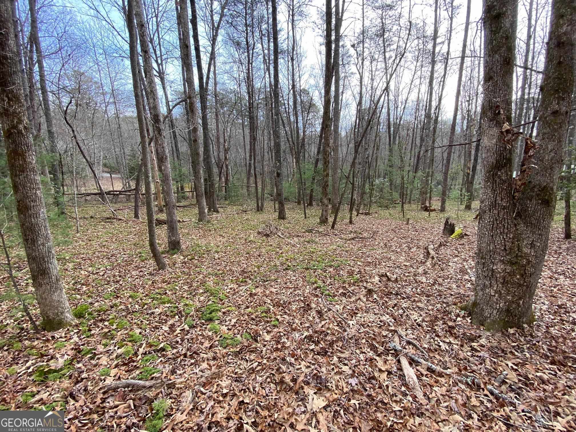 0 Sky Lake Road Sautee Nacoochee, GA 30571 - Photo 15 of 26