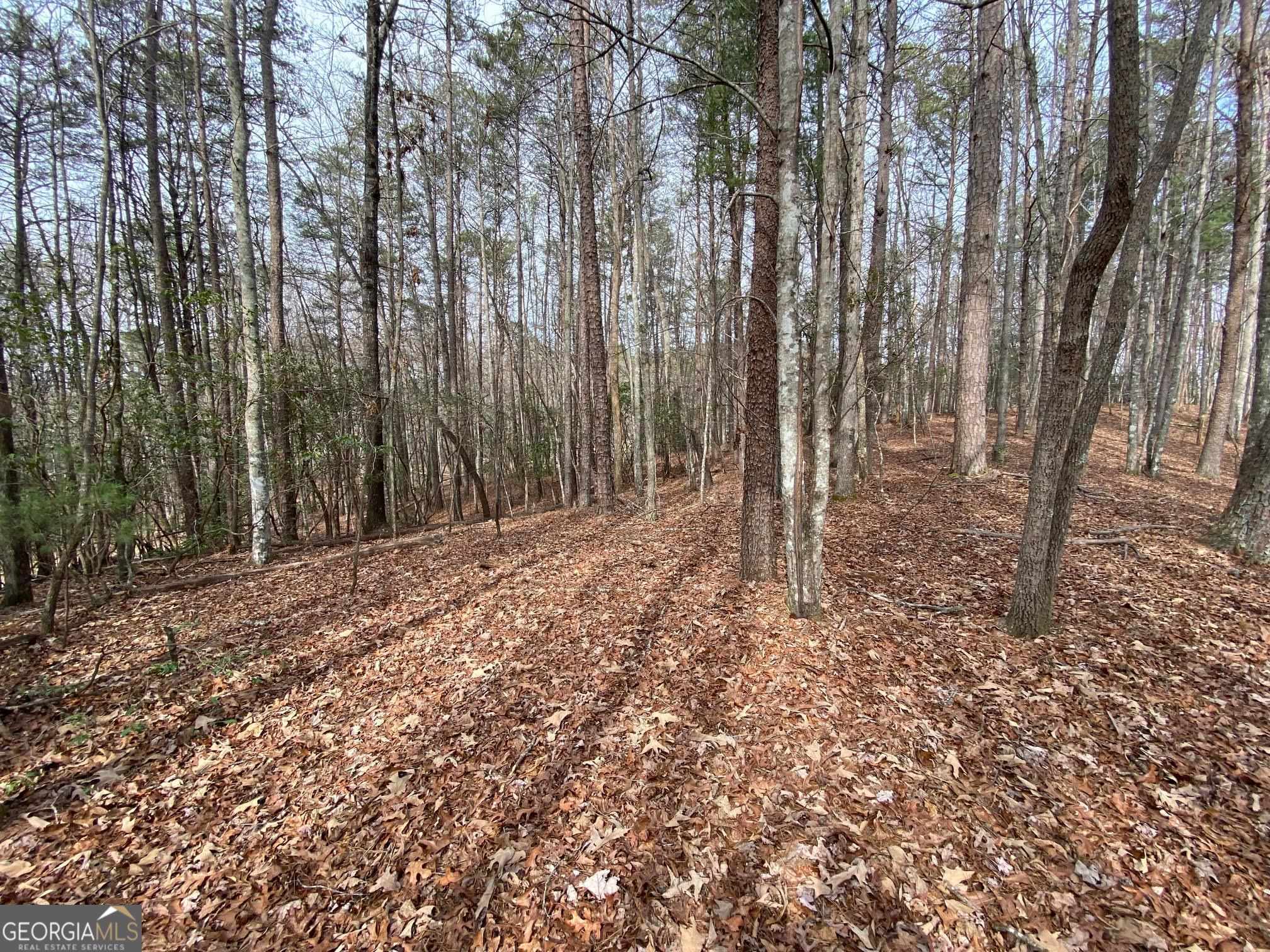 0 Sky Lake Road Sautee Nacoochee, GA 30571 - Photo 16 of 26