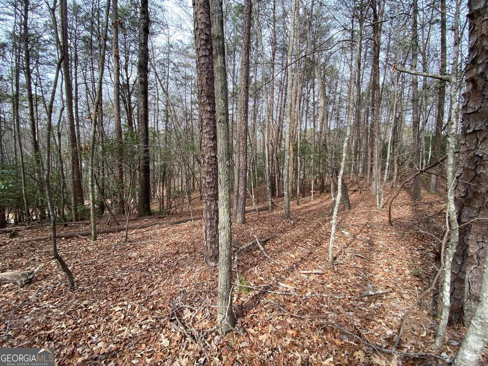 0 Sky Lake Road Sautee Nacoochee, GA 30571 - Photo 17 of 26