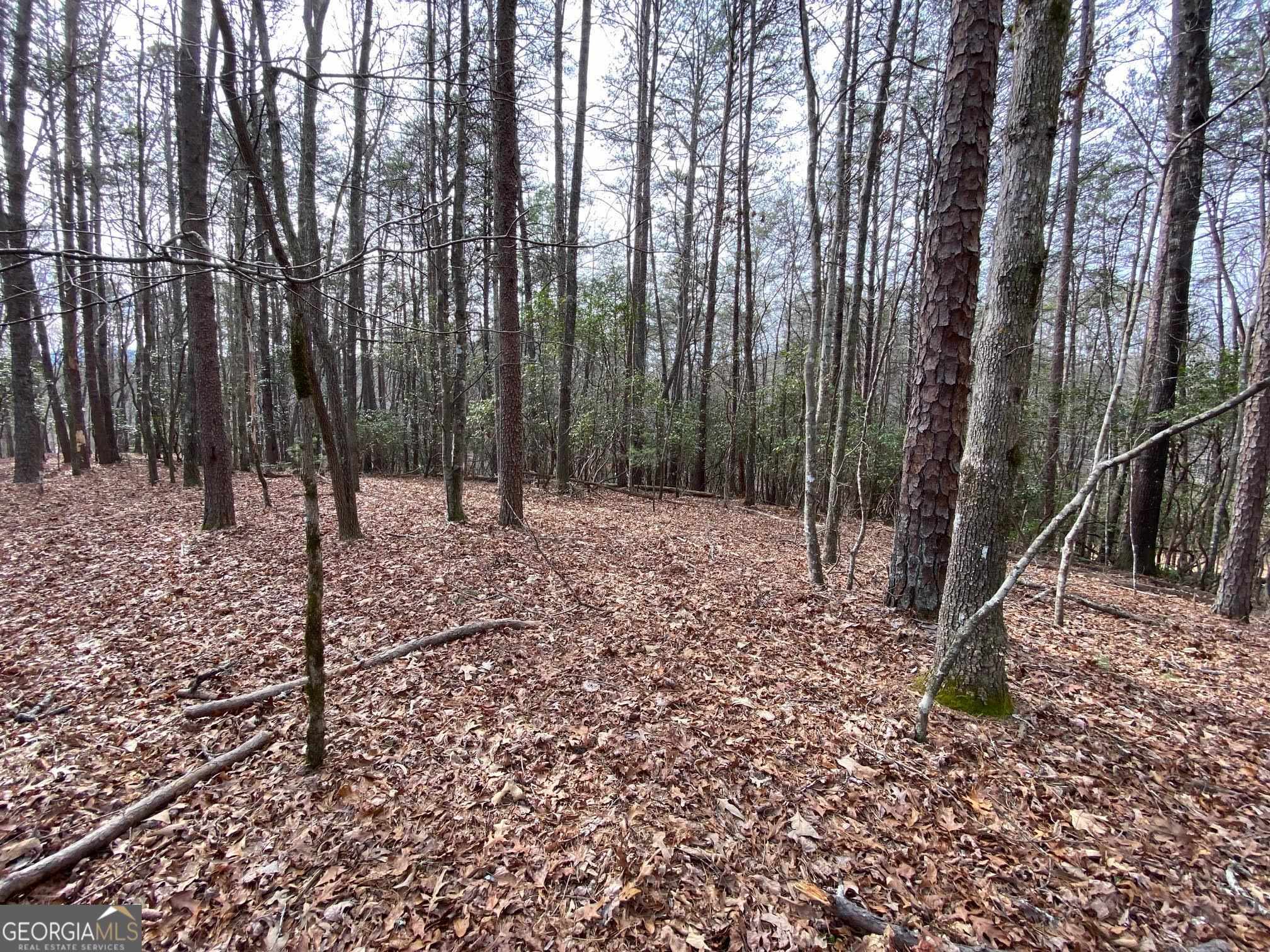 0 Sky Lake Road Sautee Nacoochee, GA 30571 - Photo 18 of 26