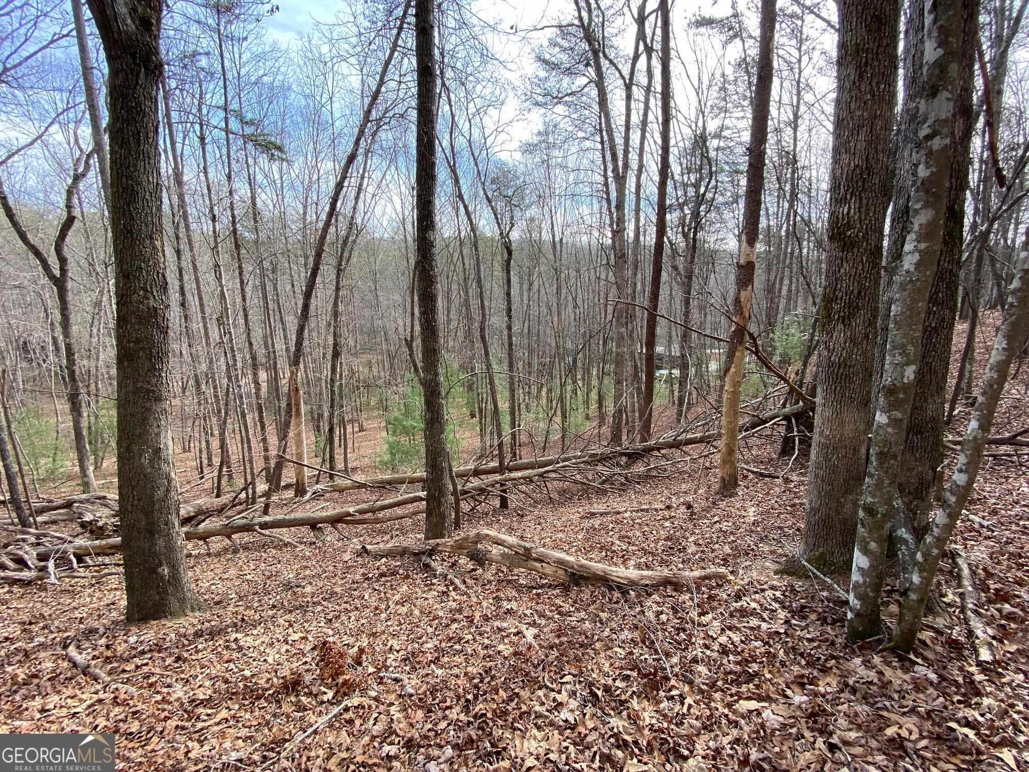 0 Sky Lake Road Sautee Nacoochee, GA 30571 - Photo 19 of 26