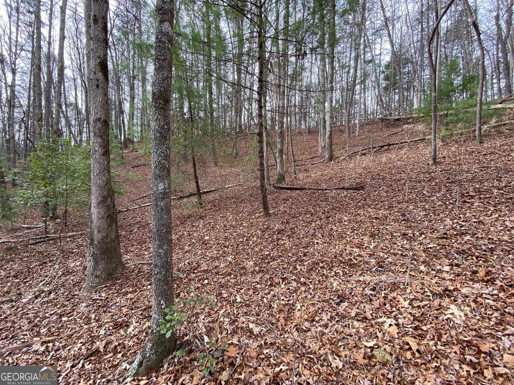 0 Sky Lake Road Sautee Nacoochee, GA 30571 - Photo 21 of 26