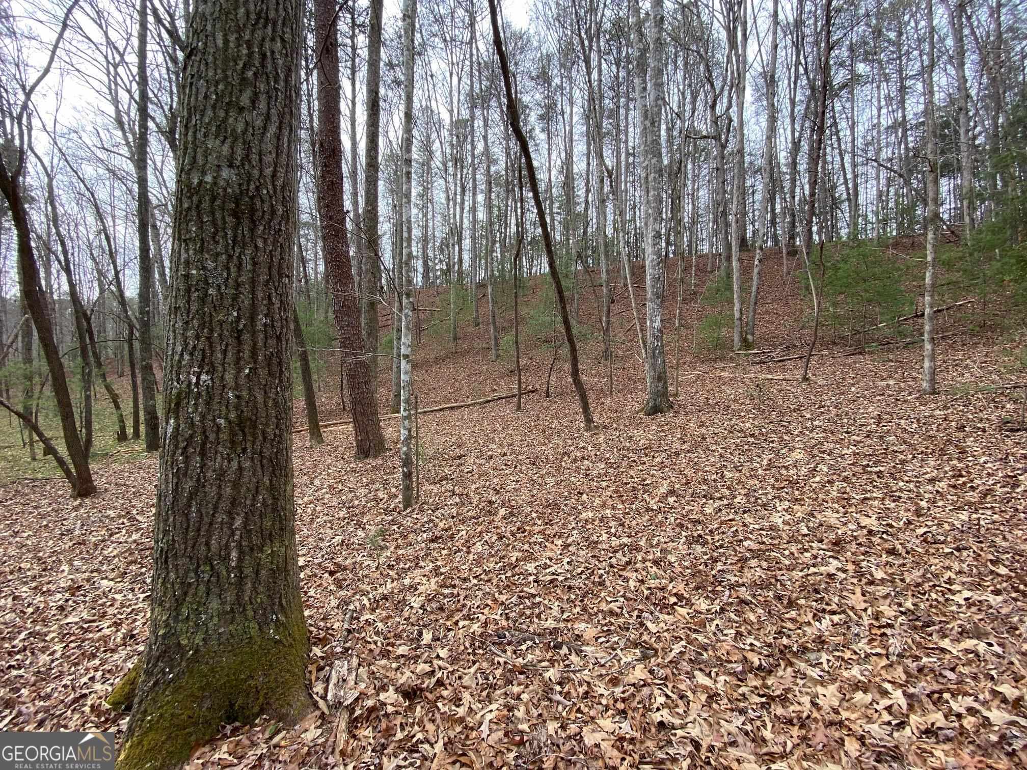 0 Sky Lake Road Sautee Nacoochee, GA 30571 - Photo 22 of 26